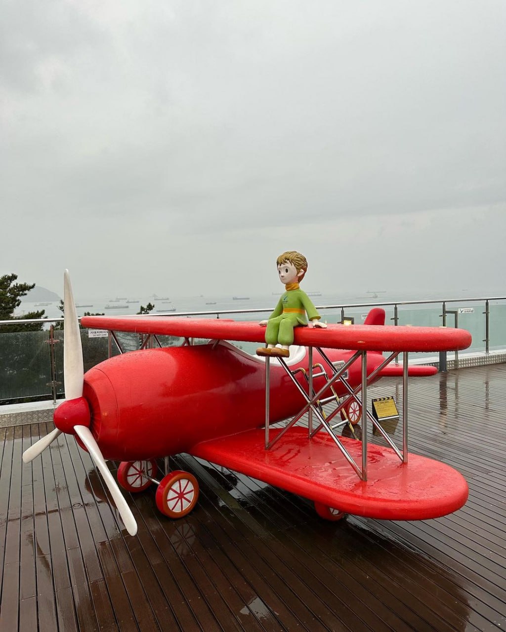 关于体力锻炼，午睡